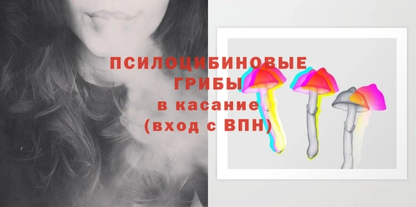стаф Абаза