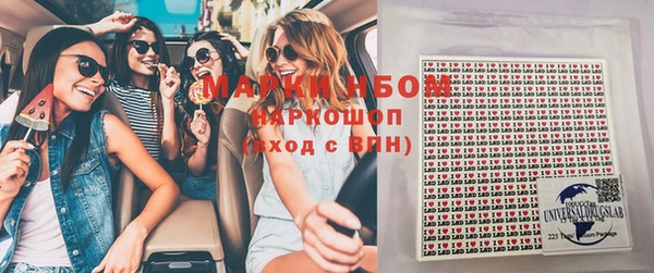 стаф Абаза