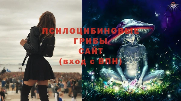 стаф Абаза