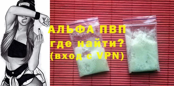 стаф Абаза