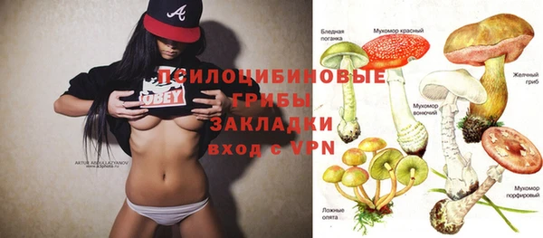 стаф Абаза