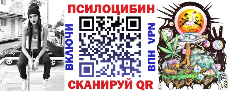 дарк нет клад  Камень-на-Оби  Галлюциногенные грибы мухоморы 