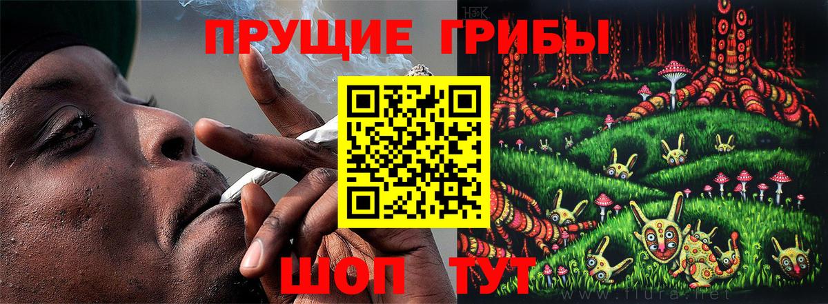 Галлюциногенные грибы мухоморы Камень-на-Оби