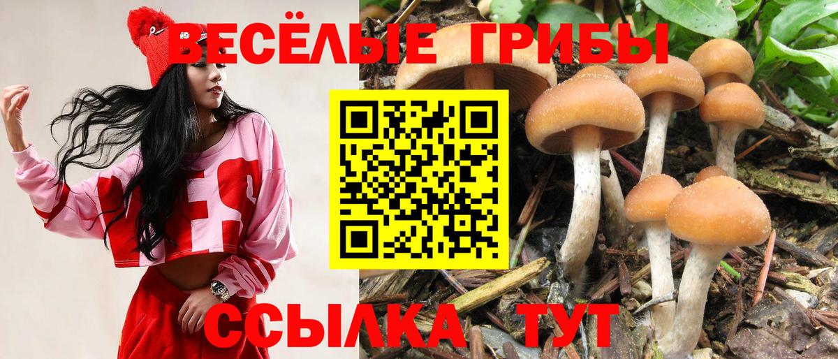 Галлюциногенные грибы ЛСД  Псилоцибиновые грибы Psilocybe  Вход с VPN  Камень-на-Оби 