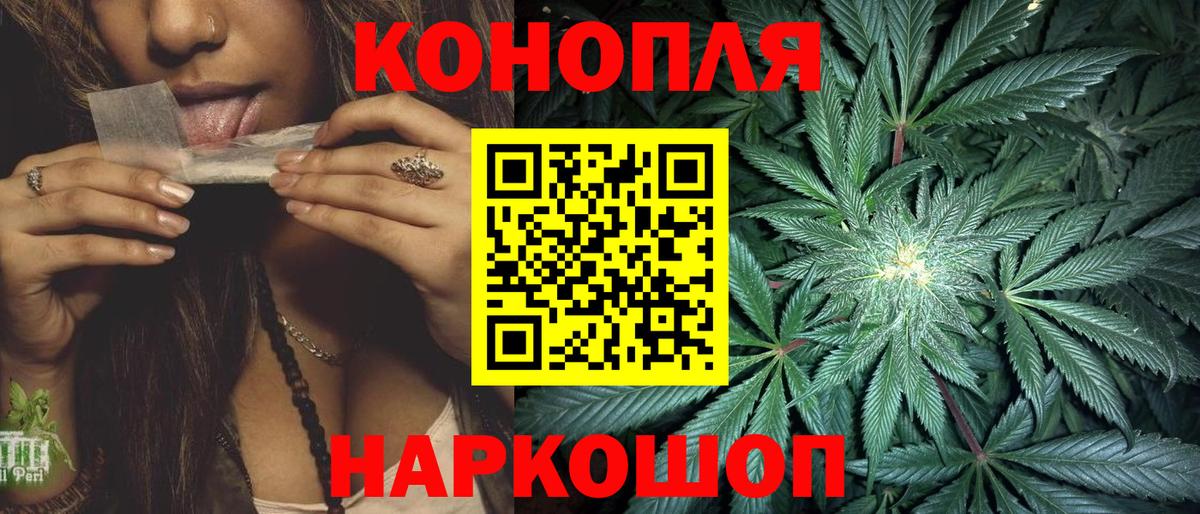 Шишки марихуана планчик Камень-на-Оби